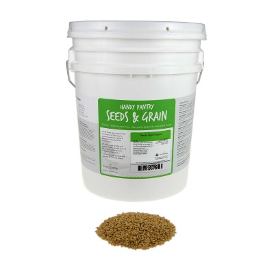 Organic Barley Seeds - 2.5 Lbs - Whole (Hull Intact) Barleygrass Seed - Ornamental Barley Grass, Juicing - Grain for Beer Making, Emergency Food Storage & More   566929339